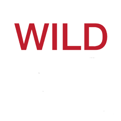 wild-bild